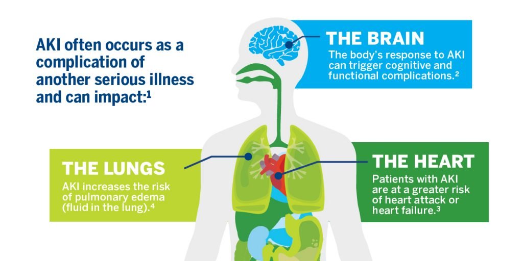 Aki Hayakawa in Haikyuu Explained Character and Role